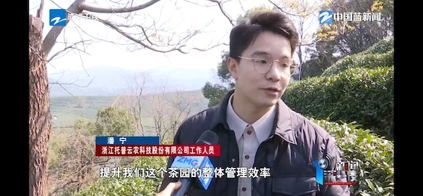 春茶開采正當(dāng)時！揭秘托普云農(nóng)如何用科技“制”出一杯數(shù)字好茶